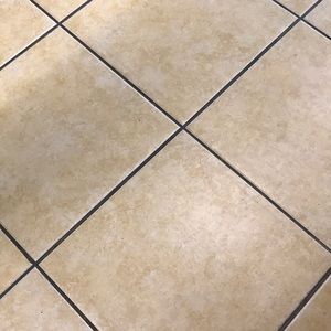 Meet your Posher, Rosa